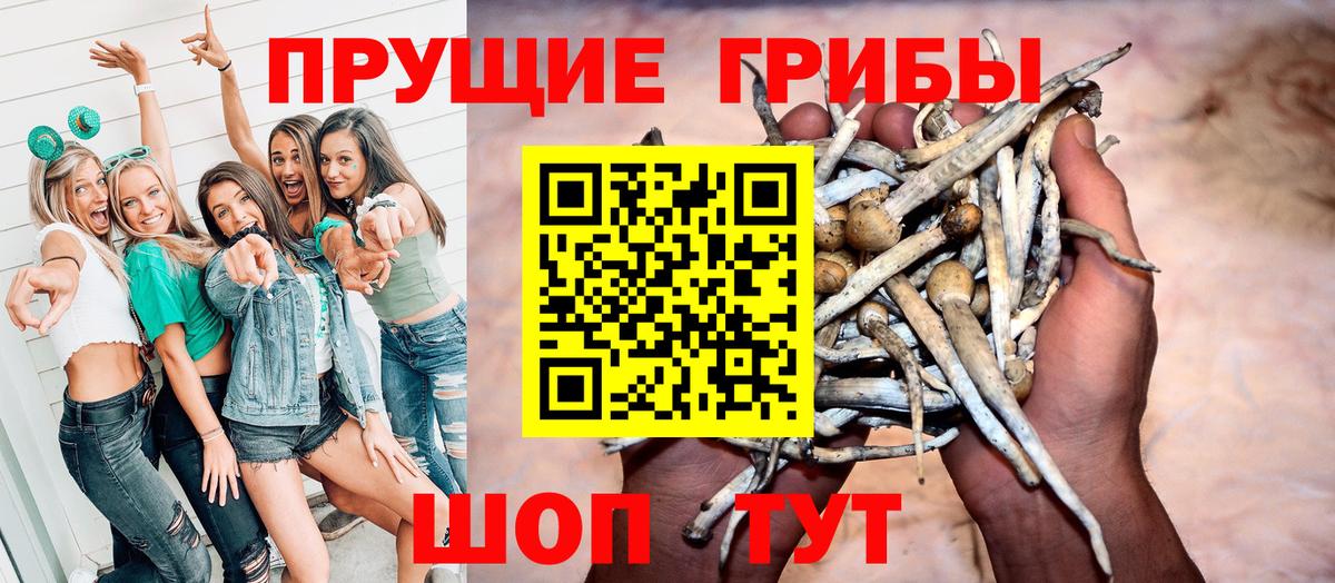 Галлюциногенные грибы Psilocybine cubensis Старая Купавна