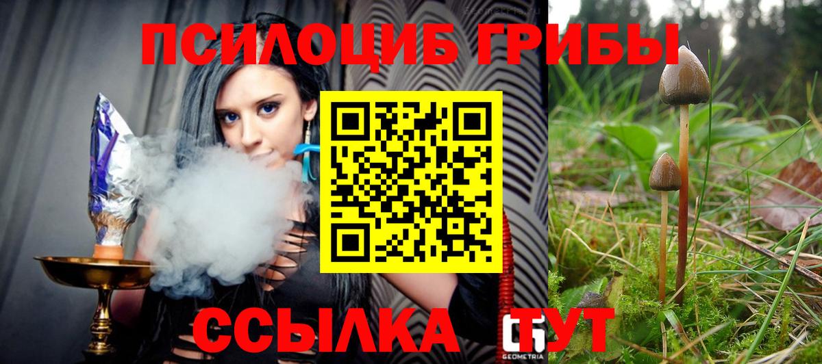 Старая Купавна  Псилоцибиновые грибы MAGIC MUSHROOMS  Псилоцибиновые грибы GOLDEN TEACHER  Вход с VPN 